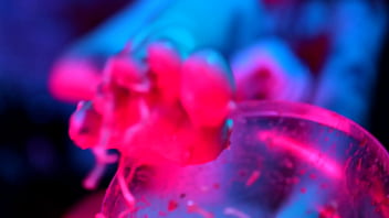 Sexy feet crushing cup noodles