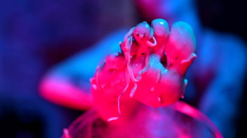 Sexy feet crushing cup noodles