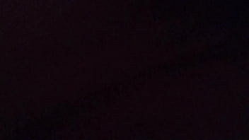 Playing with the kitty