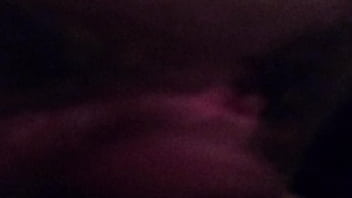 Playing with the kitty