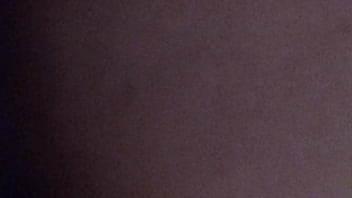 Playing with the kitty