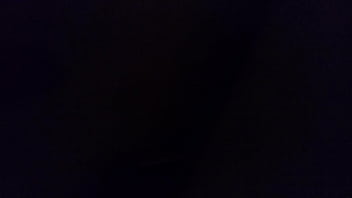 Playing with the kitty