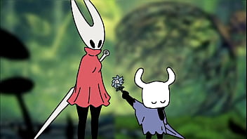 Hollow knigth animation