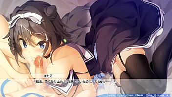 藍住 ほたる② 藍住 ほたる②