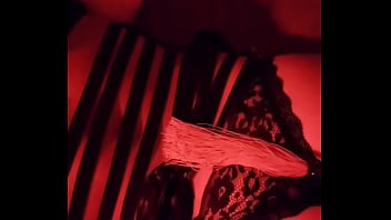 Update #270 oct 29 2022