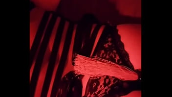 Update #270 oct 29 2022