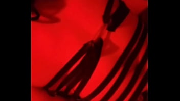 Update #270 oct 29 2022