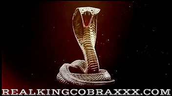 That’s a big fuckin king cobra dick in my mikailee loves her ass filled with cobra