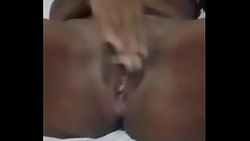 Piranha de nova iguaçu