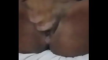 Piranha de nova iguaçu