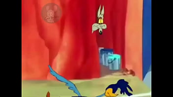 Coyote finalmente pega o papaléguas