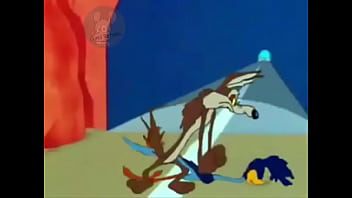 Coyote finalmente pega o papaléguas