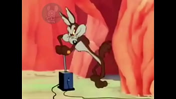 Coyote finalmente pega o papaléguas