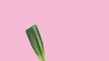 Hatsune Miku Se Vuelve Loca Por Sexo Mod thumbnail