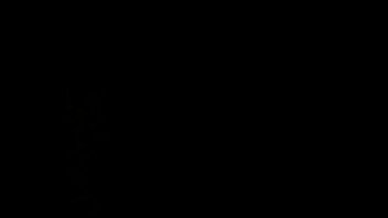 Backshotting some wet pussy