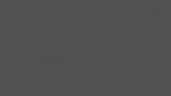 Nighthawk stopping 11