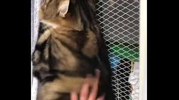 Indian beastialittty enjoyer shoes his love to lucky