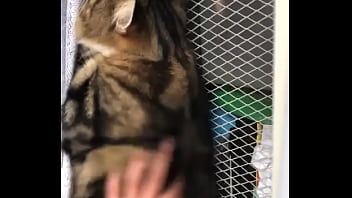 Indian beastialittty enjoyer shoes his love to lucky