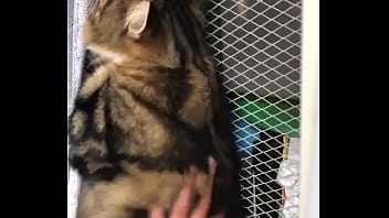 Indian beastialittty enjoyer shoes his love to lucky