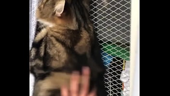 Indian beastialittty enjoyer shoes his love to lucky