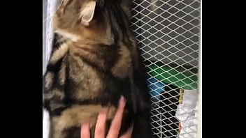 Indian beastialittty enjoyer shoes his love to lucky