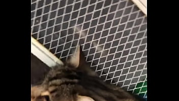 Indian beastialittty enjoyer shoes his love to lucky