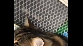 Indian beastialittty enjoyer shoes his love to lucky