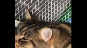 Indian beastialittty enjoyer shoes his love to lucky