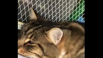 Indian beastialittty enjoyer shoes his love to lucky