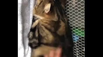 Indian beastialittty enjoyer shoes his love to lucky