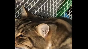 Indian beastialittty enjoyer shoes his love to lucky