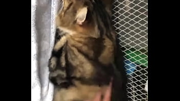 Indian beastialittty enjoyer shoes his love to lucky