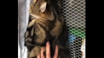 Indian beastialittty enjoyer shoes his love to lucky