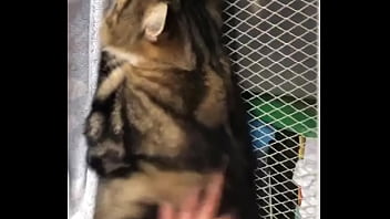 Indian beastialittty enjoyer shoes his love to lucky