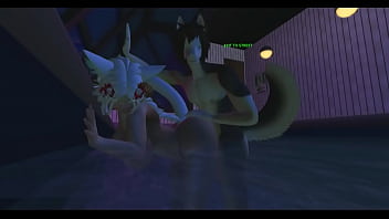 Second the cat's moon