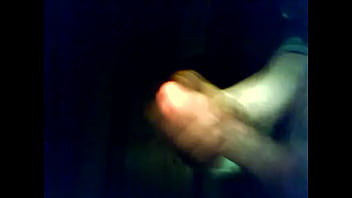 Ibex ibex 2012 12 11