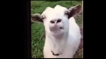 Vid 20170221 Wa0003 thumbnail