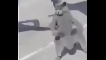 Gato dando sus pasos prohibidos bien paja