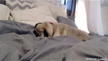 Briana lee member show june 18th 2015