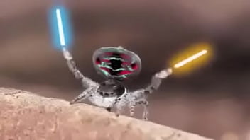 Video bokep part 76742633