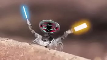 Video bokep part 76742633