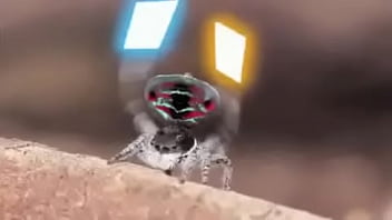 Video bokep part 76742633