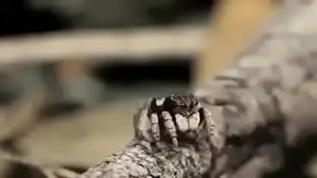 Video bokep part 76742633