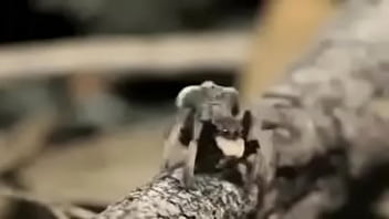 Video bokep part 76742633