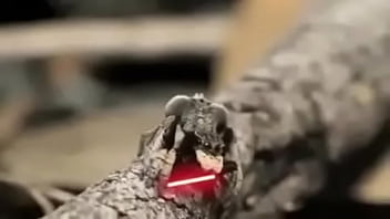 Video bokep part 76742633