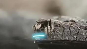 Video bokep part 76742633