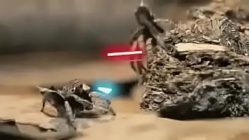 Video bokep part 76742633