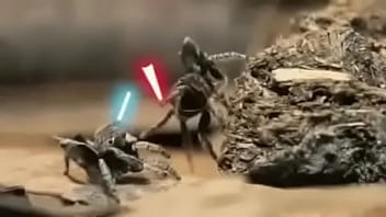 Video bokep part 76742633