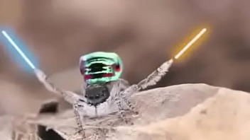 Video bokep part 76742633