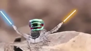 Video bokep part 76742633